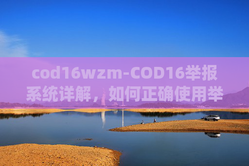 cod16wzm-COD16举报系统详解，如何正确使用举报功能，以及它的重要性