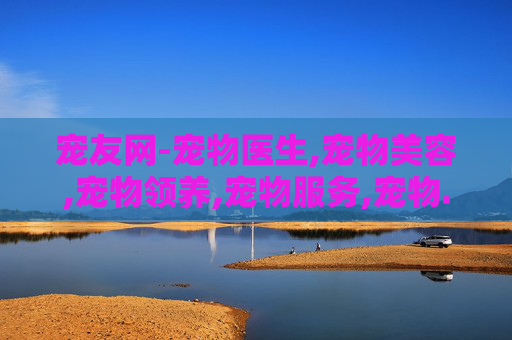 宠友网-宠物医生,宠物美容,宠物领养,宠物服务,宠物...-宠友网，宠物爱好者的乐园，让爱宠生活更美好