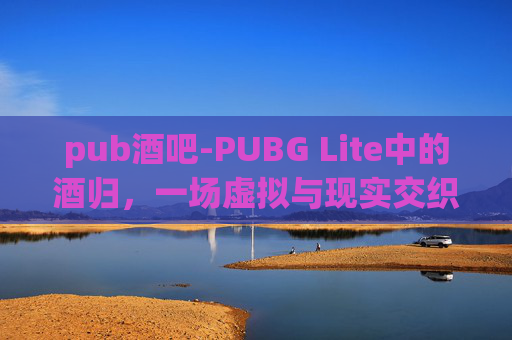 pub酒吧-PUBG Lite中的酒归，一场虚拟与现实交织的冒险