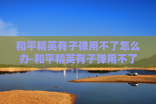和平精英有子弹用不了怎么办-和平精英有子弹用不了？探索游戏内隐藏的奥秘