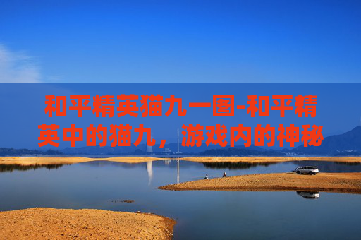 和平精英猫九一图-和平精英中的猫九，游戏内的神秘角色与战术运用