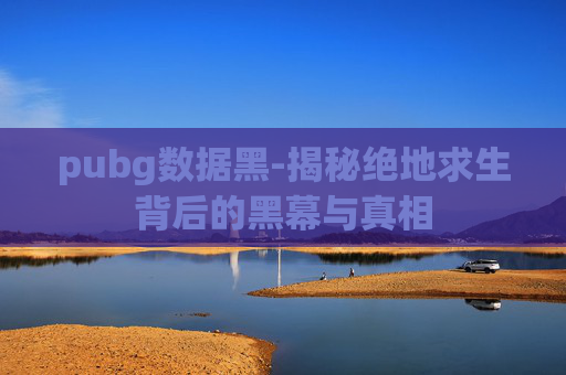 pubg数据黑-揭秘绝地求生背后的黑幕与真相