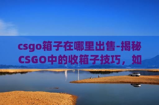 csgo箱子在哪里出售-揭秘CSGO中的收箱子技巧，如何高效地收集游戏内物品