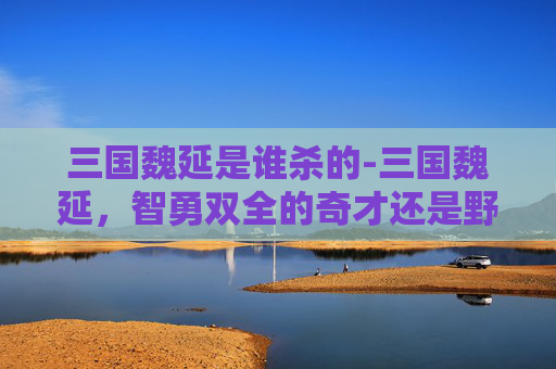三国魏延是谁杀的-三国魏延，智勇双全的奇才还是野心勃勃的祸端？