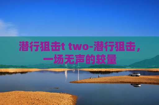 潜行狙击t two-潜行狙击，一场无声的较量