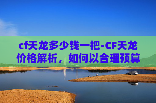 cf天龙多少钱一把-CF天龙价格解析，如何以合理预算获得最佳游戏体验