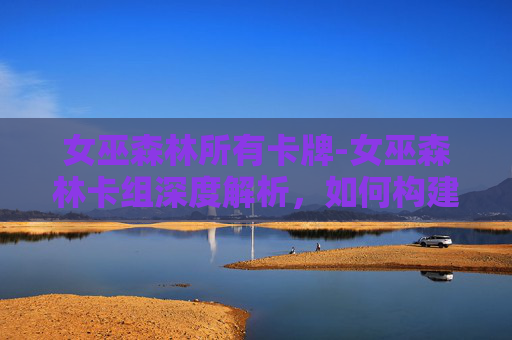 女巫森林所有卡牌-女巫森林卡组深度解析，如何构建你的卡牌组合