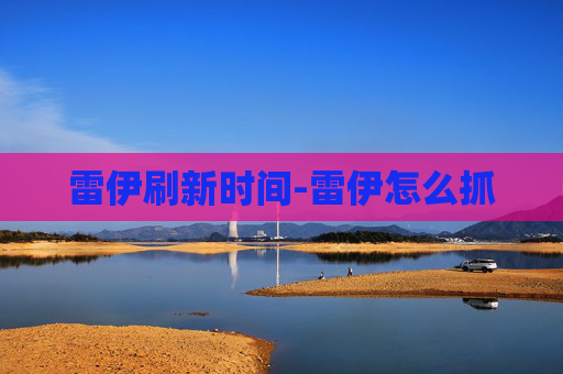 雷伊刷新时间-雷伊怎么抓