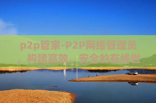 p2p管家-P2P网络管理员，构建高效、安全的在线世界