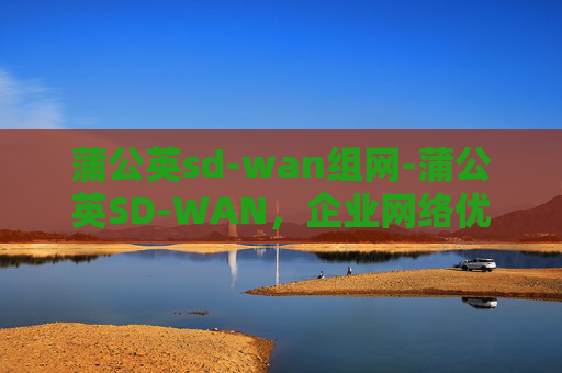 蒲公英sd-wan组网-蒲公英SD-WAN，企业网络优化的革新之路