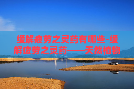 缓解疲劳之灵药有哪些-缓解疲劳之灵药——天然植物的神奇力量