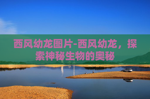 西风幼龙图片-西风幼龙，探索神秘生物的奥秘