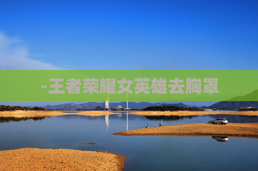 -王者荣耀女英雄去胸罩