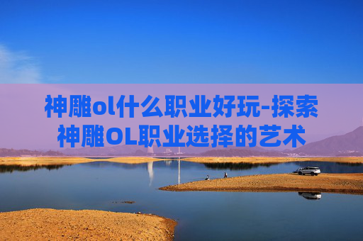 神雕ol什么职业好玩-探索神雕OL职业选择的艺术