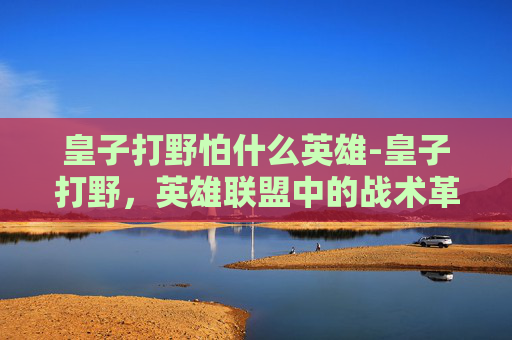 皇子打野怕什么英雄-皇子打野，英雄联盟中的战术革新与团队协作的典范