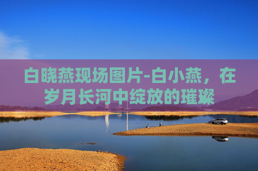 白晓燕现场图片-白小燕，在岁月长河中绽放的璀璨