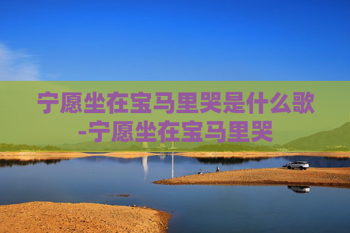 宁愿坐在宝马里哭是什么歌-宁愿坐在宝马里哭