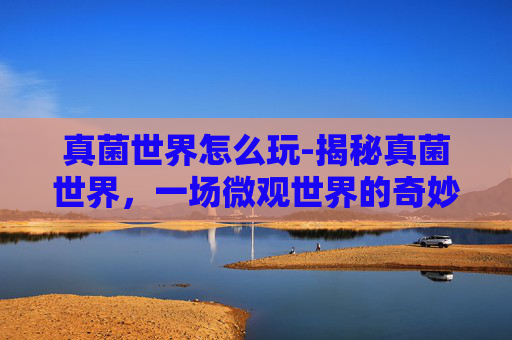 真菌世界怎么玩-揭秘真菌世界，一场微观世界的奇妙探险
