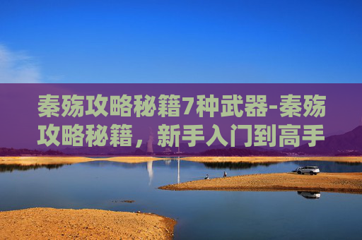 秦殇攻略秘籍7种武器-秦殇攻略秘籍，新手入门到高手进阶