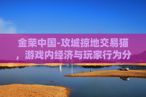 金荣中国-攻城掠地交易猫，游戏内经济与玩家行为分析