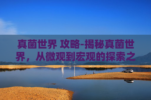 真菌世界 攻略-揭秘真菌世界，从微观到宏观的探索之旅