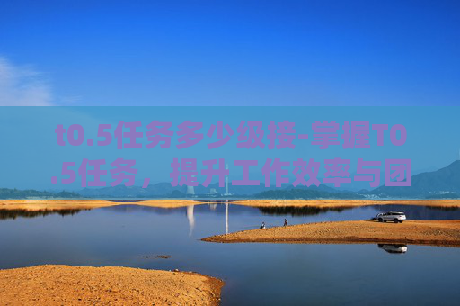 t0.5任务多少级接-掌握T0.5任务，提升工作效率与团队协作的秘诀