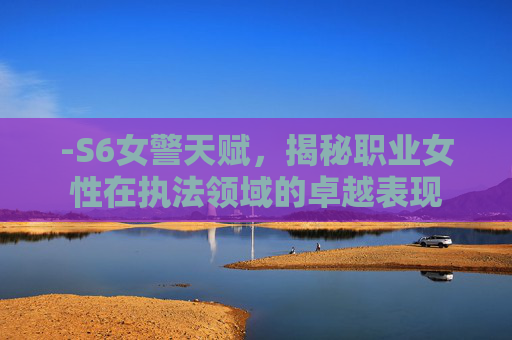 -S6女警天赋，揭秘职业女性在执法领域的卓越表现