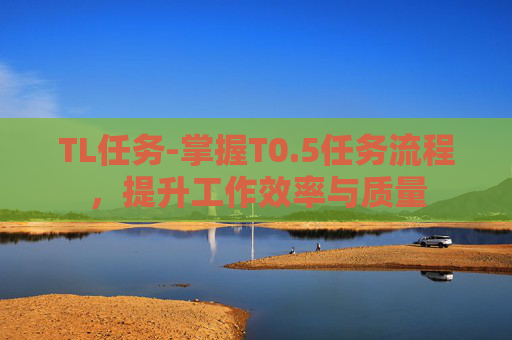 TL任务-掌握T0.5任务流程，提升工作效率与质量