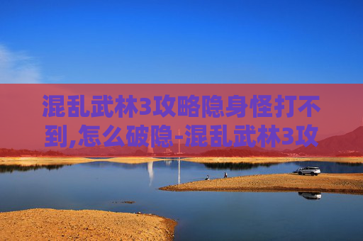 混乱武林3攻略隐身怪打不到,怎么破隐-混乱武林3攻略，新手入门指南