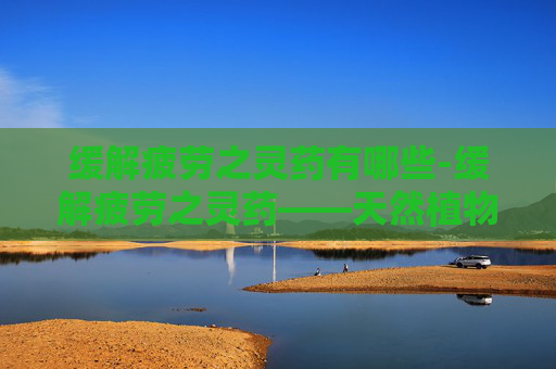 缓解疲劳之灵药有哪些-缓解疲劳之灵药——天然植物的神奇力量