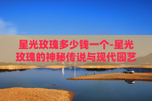 星光玫瑰多少钱一个-星光玫瑰的神秘传说与现代园艺艺术
