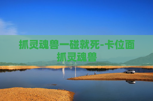 抓灵魂兽一碰就死-卡位面抓灵魂兽
