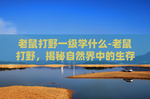 老鼠打野一级学什么-老鼠打野，揭秘自然界中的生存策略与生态平衡