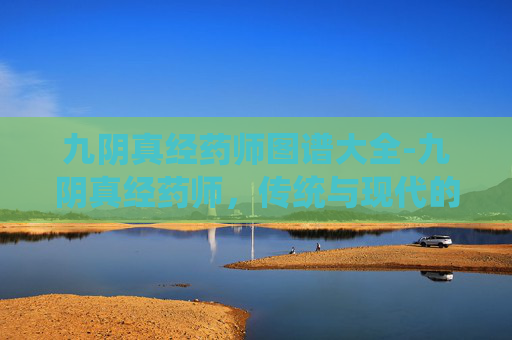 九阴真经药师图谱大全-九阴真经药师，传统与现代的交融