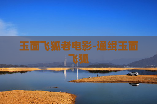 玉面飞狐老电影-通缉玉面飞狐