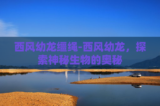 西风幼龙缰绳-西风幼龙，探索神秘生物的奥秘