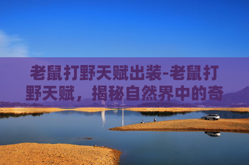 老鼠打野天赋出装-老鼠打野天赋，揭秘自然界中的奇观