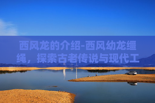 西风龙的介绍-西风幼龙缰绳，探索古老传说与现代工艺的交织