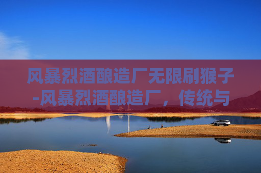 风暴烈酒酿造厂无限刷猴子-风暴烈酒酿造厂，传统与创新的完美融合