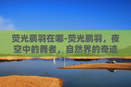 荧光鹏羽在哪-荧光鹏羽，夜空中的舞者，自然界的奇迹