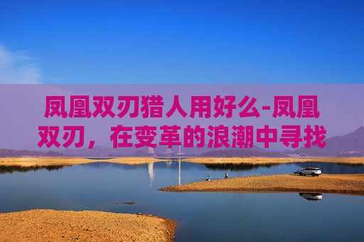 凤凰双刃猎人用好么-凤凰双刃，在变革的浪潮中寻找自我