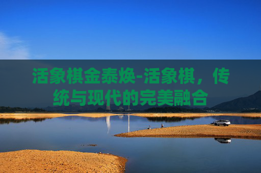 活象棋金泰焕-活象棋，传统与现代的完美融合