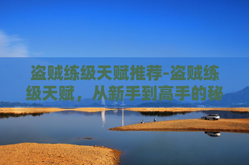 盗贼练级天赋推荐-盗贼练级天赋，从新手到高手的秘诀