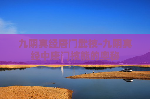 九阴真经唐门武技-九阴真经中唐门技能的奥秘