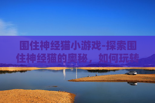 围住神经猫小游戏-探索围住神经猫的奥秘，如何玩转这款独特游戏