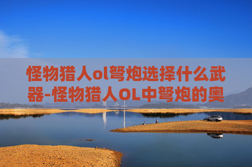 怪物猎人ol弩炮选择什么武器-怪物猎人OL中弩炮的奥秘与选择指南